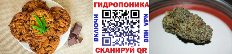 хочу   ссылка на мегу как войти  Canna-Cookies марихуана  Избербаш 