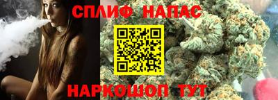 молекула духа Будённовск
