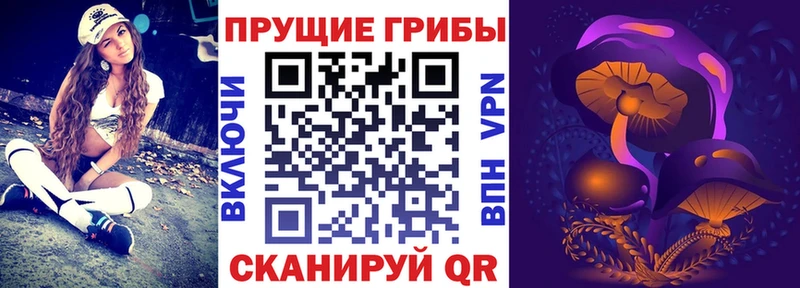 сайты даркнета наркотические препараты  Избербаш  Псилоцибиновые грибы Cubensis  ссылка на мегу  