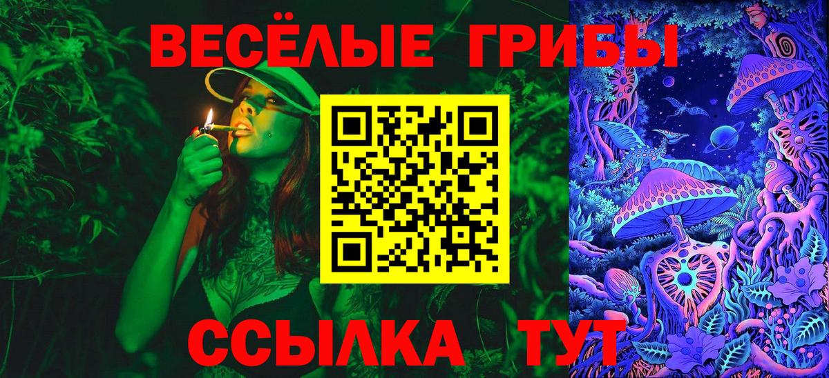 Псилоцибиновые грибы ЛСД Избербаш