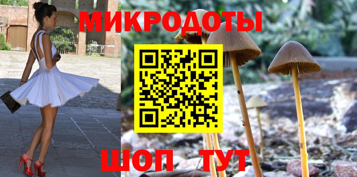 Избербаш  Псилоцибиновые грибы прущие грибы  Вход с VPN 